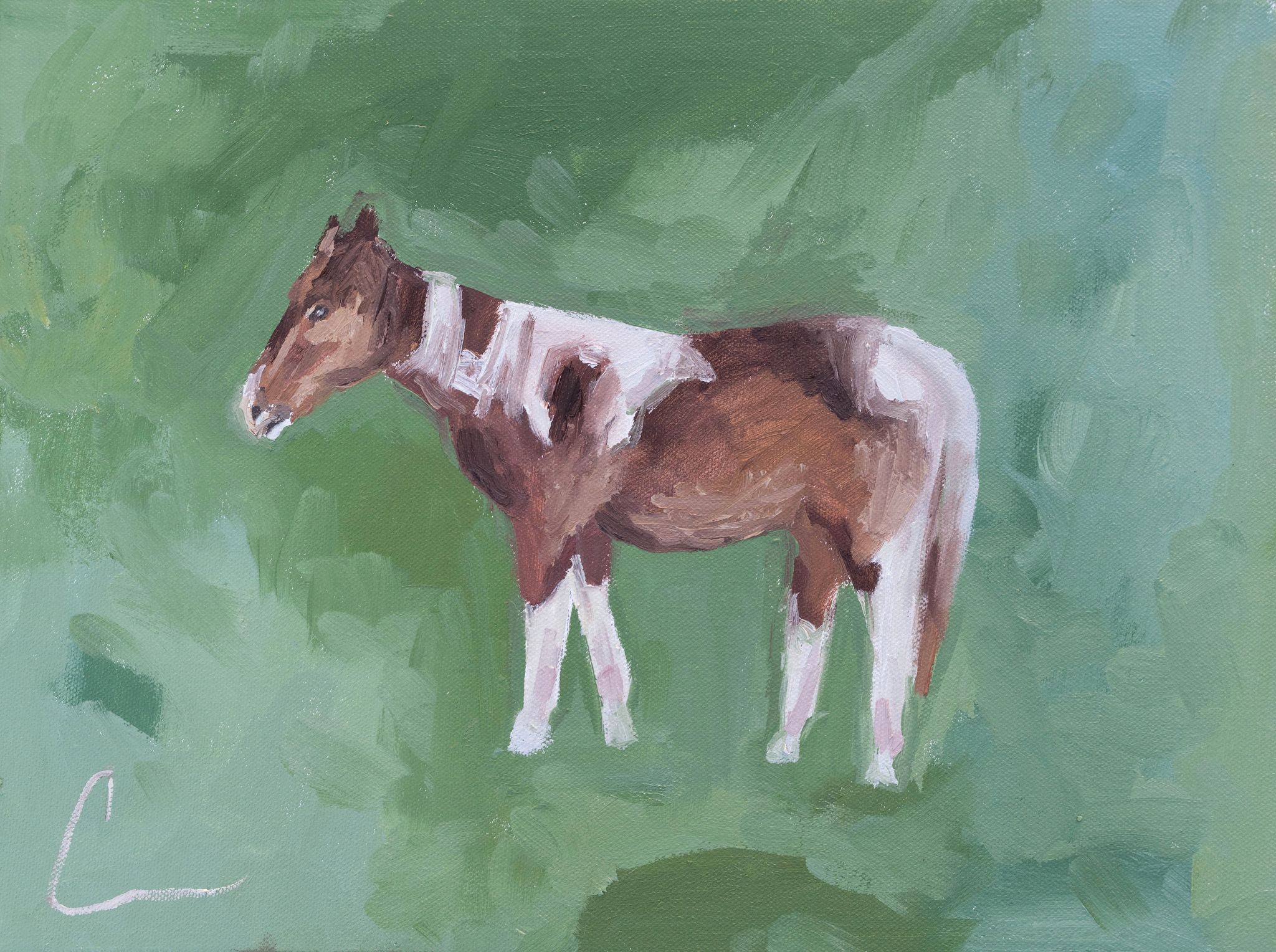Brown Spotted Horse PRINT