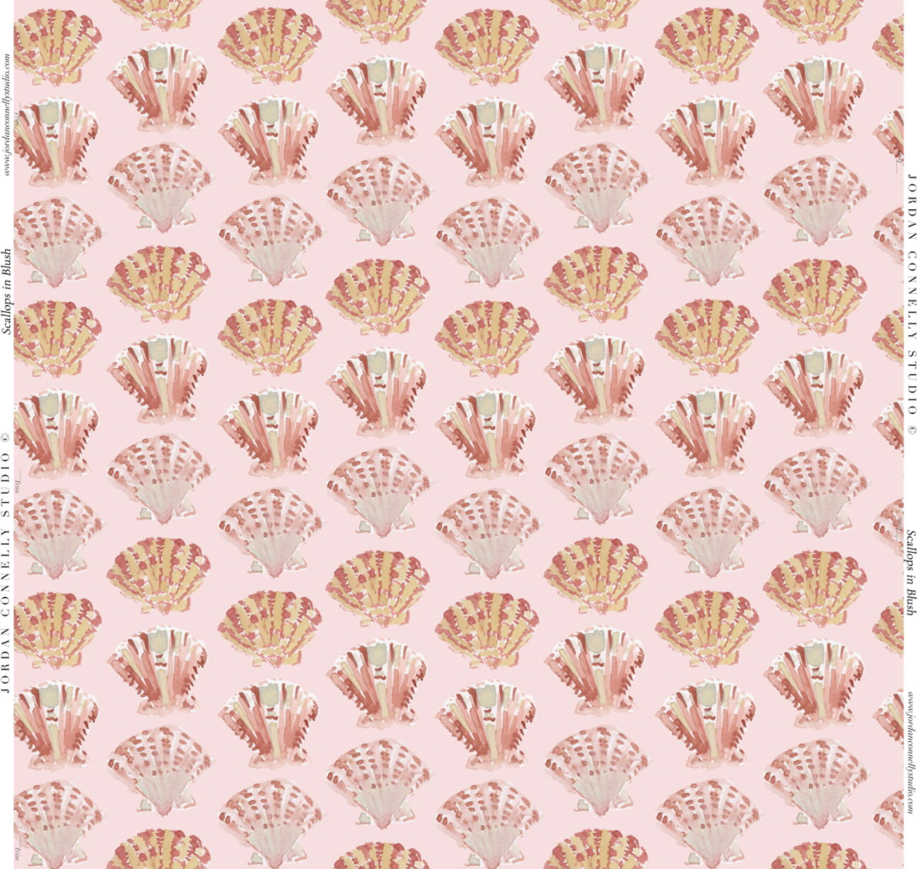 Scallops in Blush- Wallpaper
