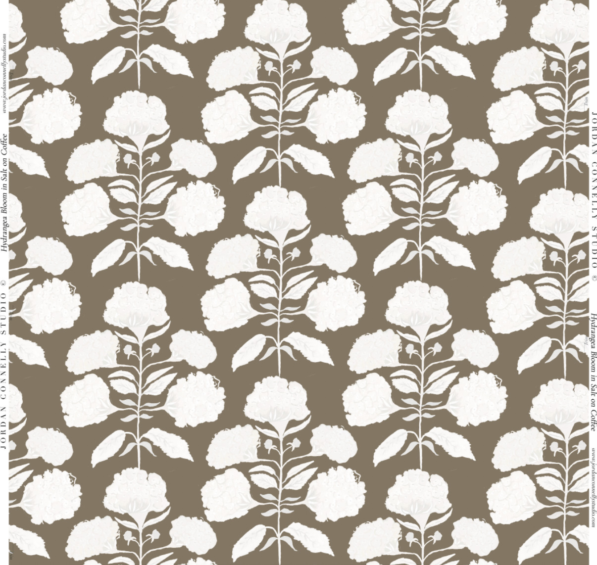 Hydrangea Bloom in Salt on Coffee- Wallpaper