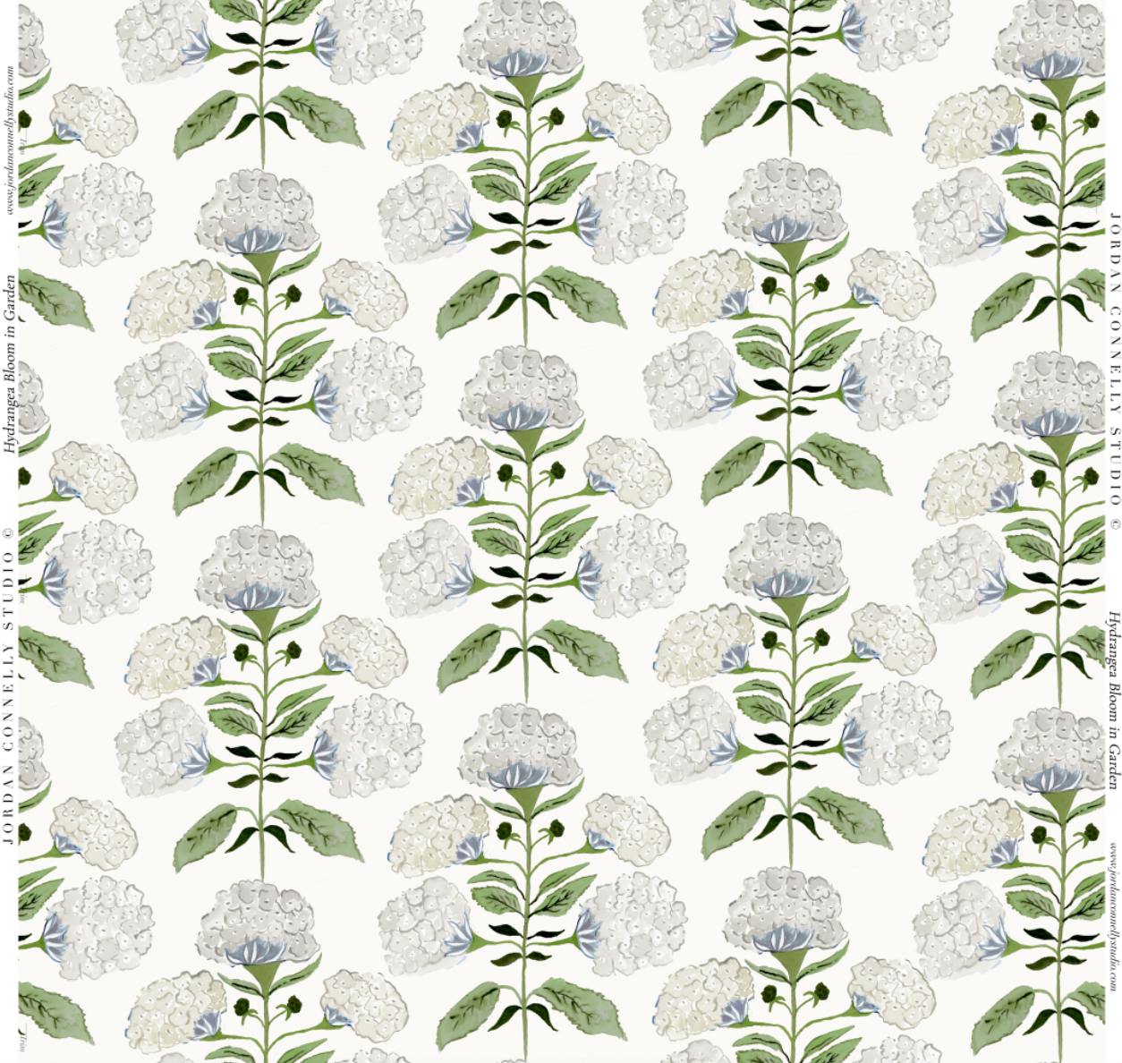 Hydrangea Bloom in Garden- Wallpaper
