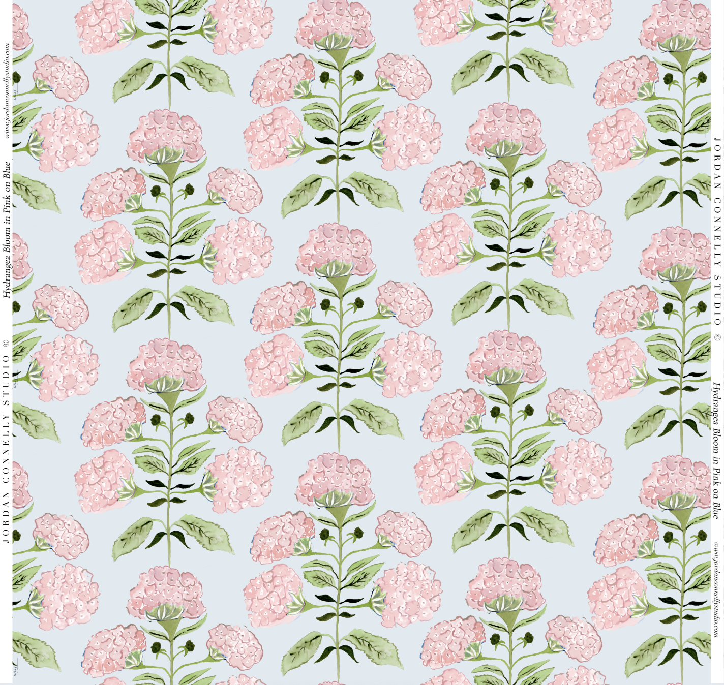 Hydrangea Bloom in Pink on Blue- Wallpaper