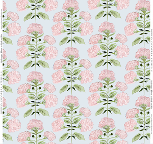 Hydrangea Bloom in Pink on Blue- Wallpaper