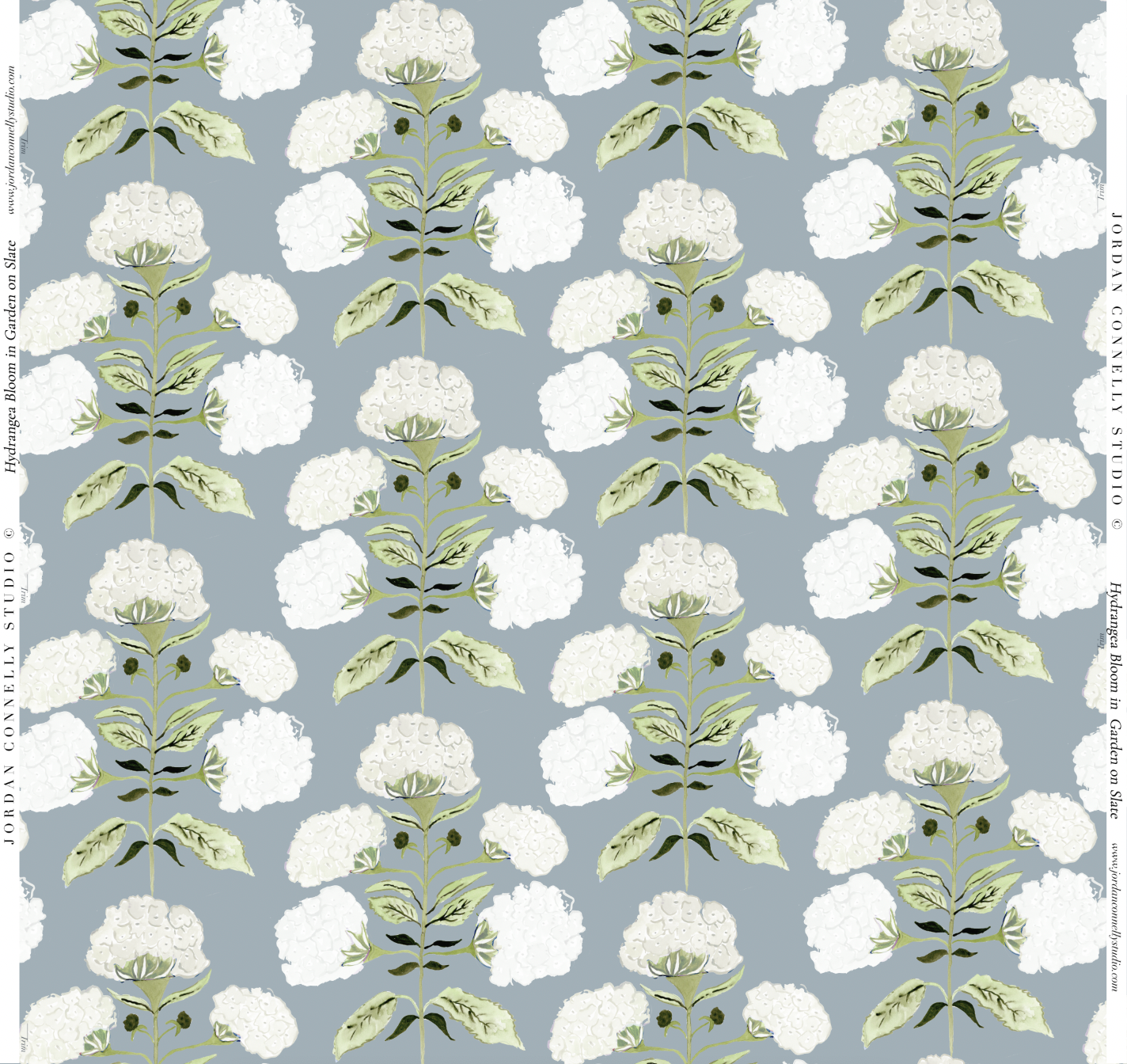 Hydrangea Bloom in Garden on Slate- Wallpaper