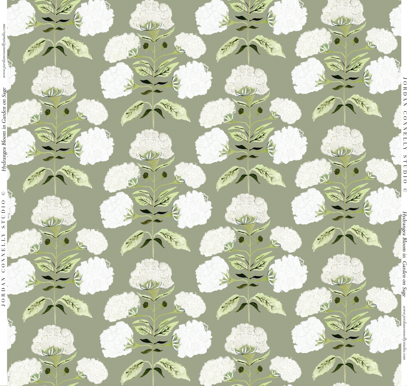 Hydrangea Bloom in Garden on Sage- Wallpaper