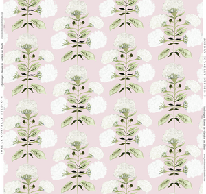 Hydrangea Bloom in Garden on Blush- Wallpaper
