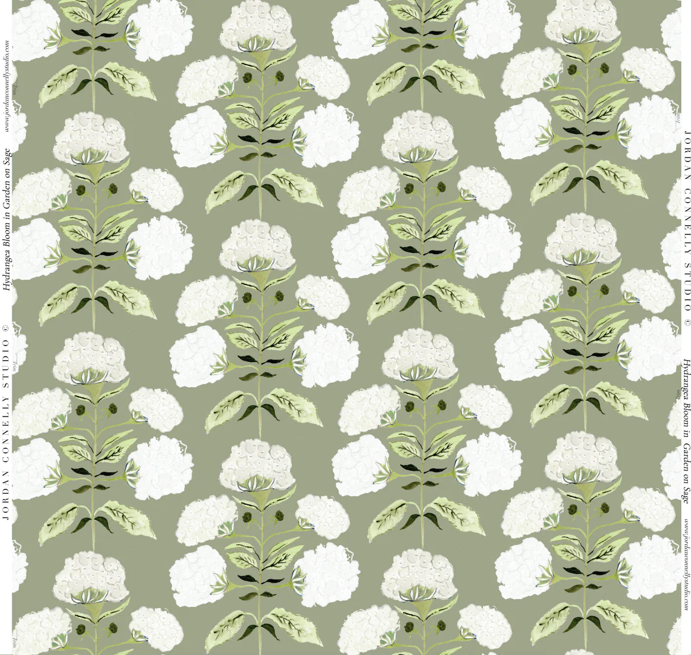 Hydrangea Bloom in Garden on Sage- Fabric