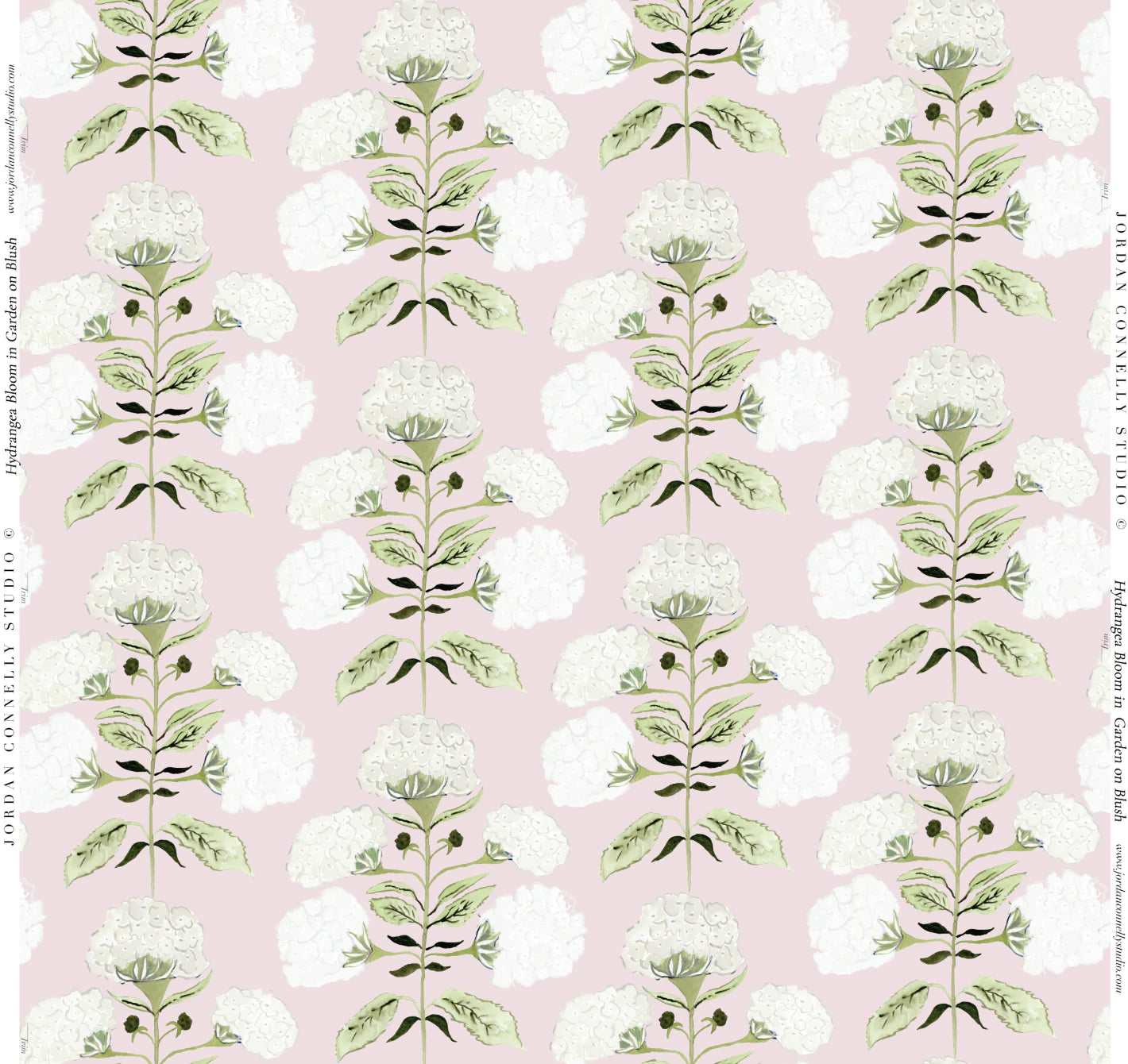 Hydrangea Bloom in Garden on Blush- Fabric