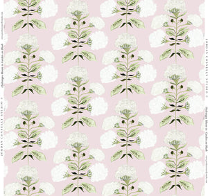 Hydrangea Bloom in Garden on Blush- Fabric