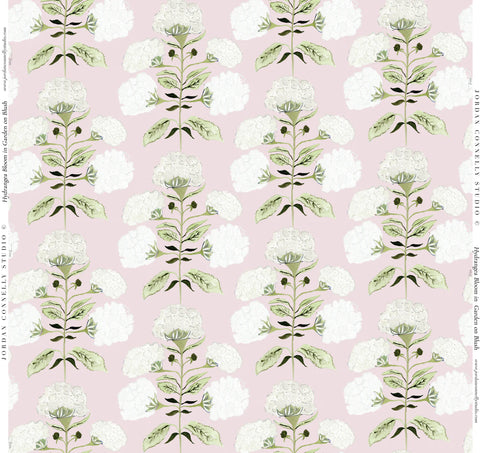 Hydrangea Bloom in Garden on Blush- Fabric