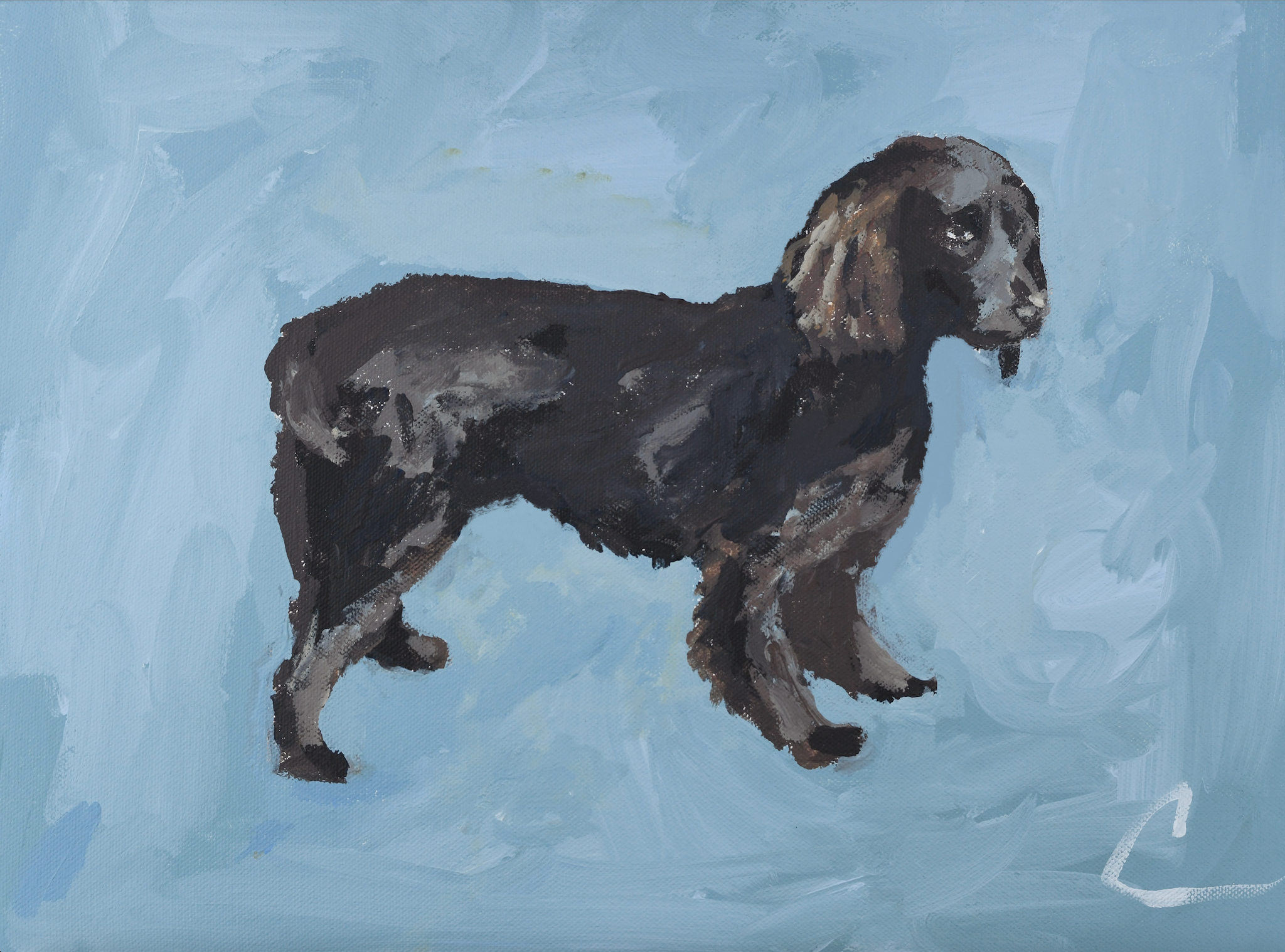 Boykin PRINT