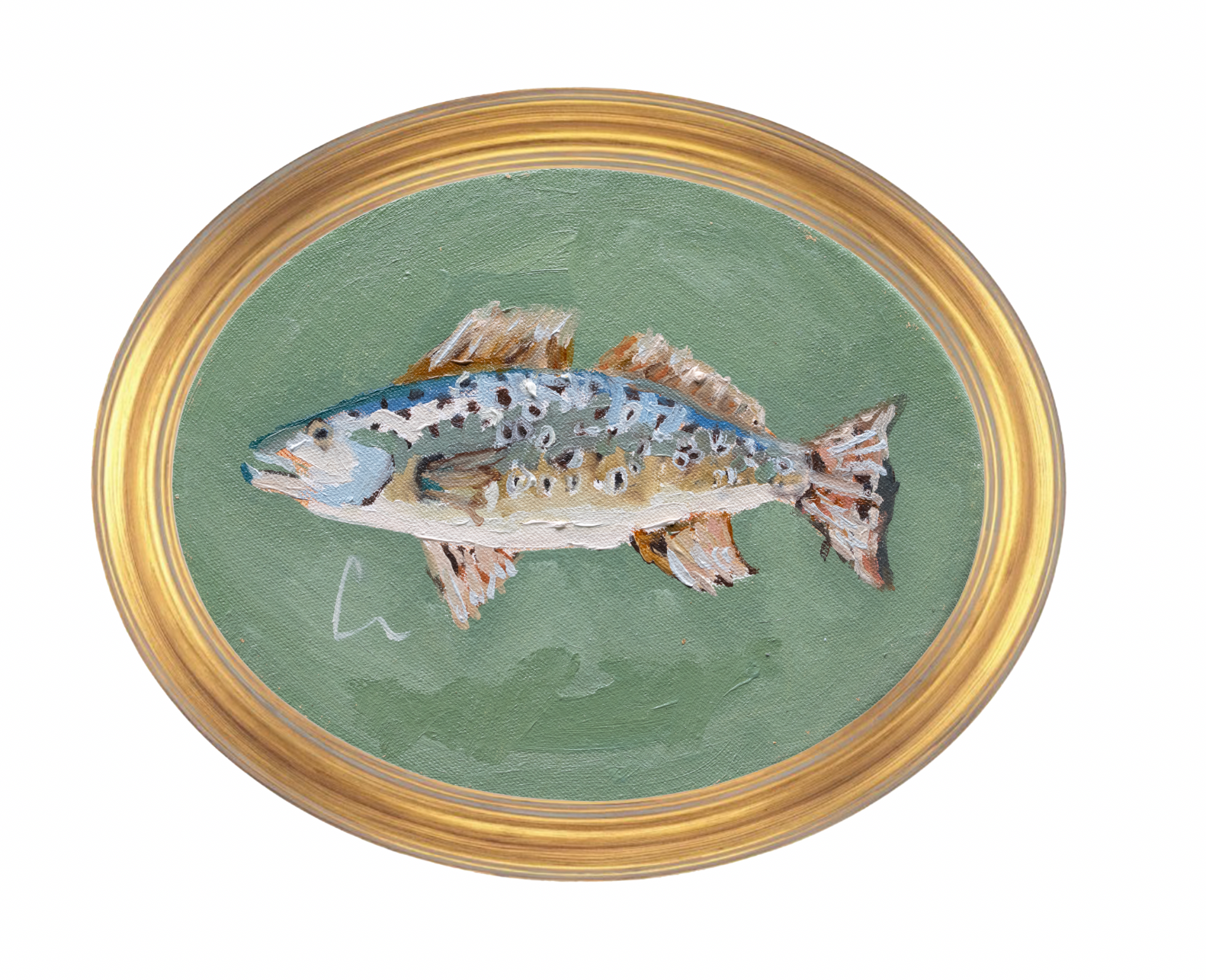 Sea Trout (6d)- 10X8"