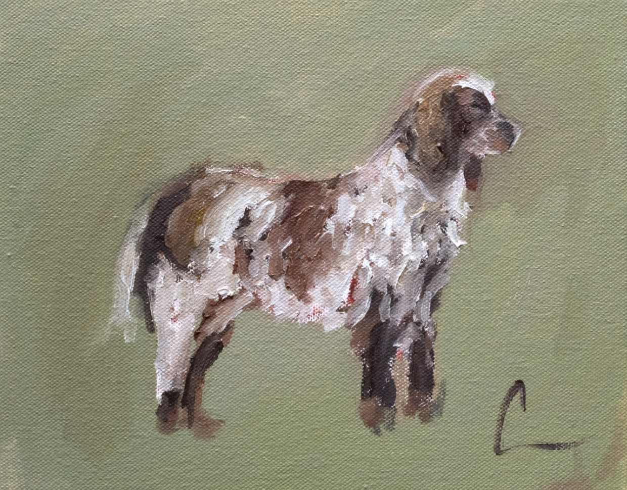 Setter (1f) - 10X8" (Comes Framed)