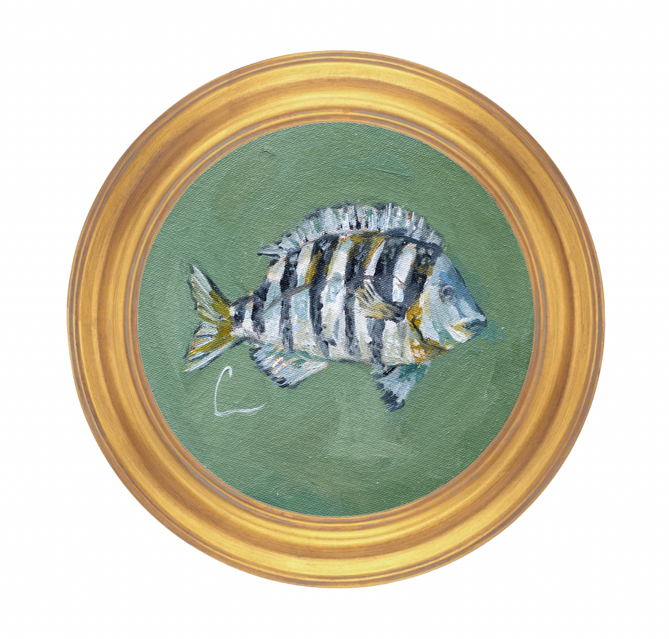 Sheepshead (6e) - 8X8"