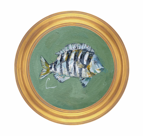 Sheepshead (6e) - 8X8"