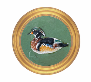 Wood Duck (hall) - 8X8"