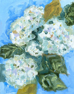 Hydrangea Blooms 2- 11x14