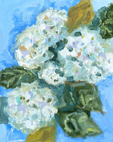 Hydrangea Blooms 2- 11x14
