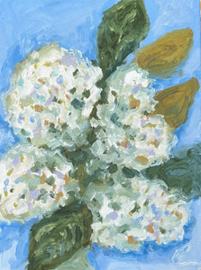 Hydrangea Bloom 3- 12x16