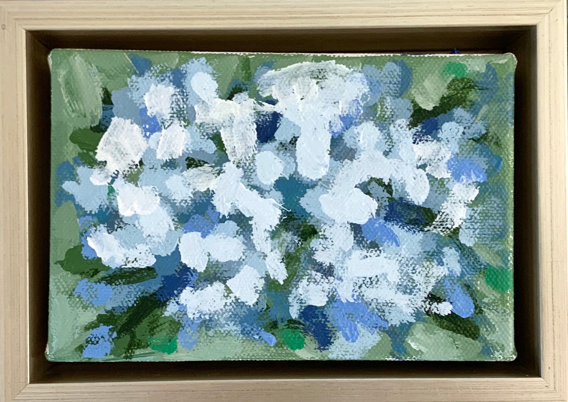 Blue Hydrangeas in Bloom- 6x4