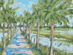 Pitt Street Bridge Path- 16x12