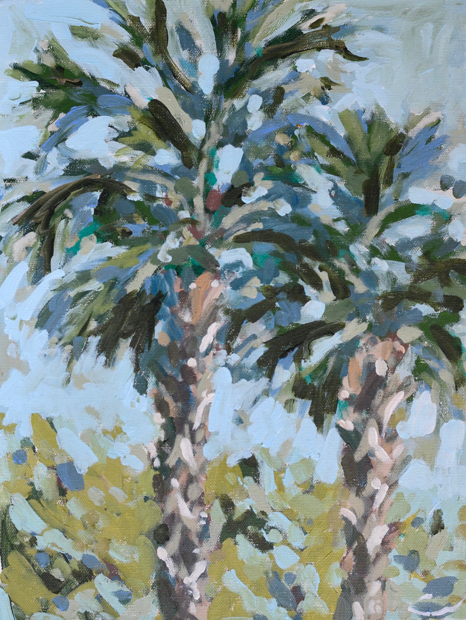 Palms from the Patio- 12x16