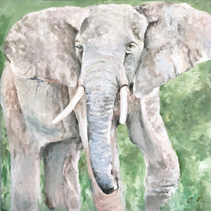 Elephant for Health - 30x30